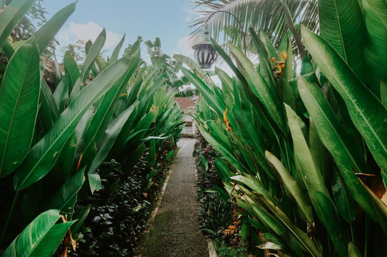 Anggira Villa Ubud Экстерьер фото